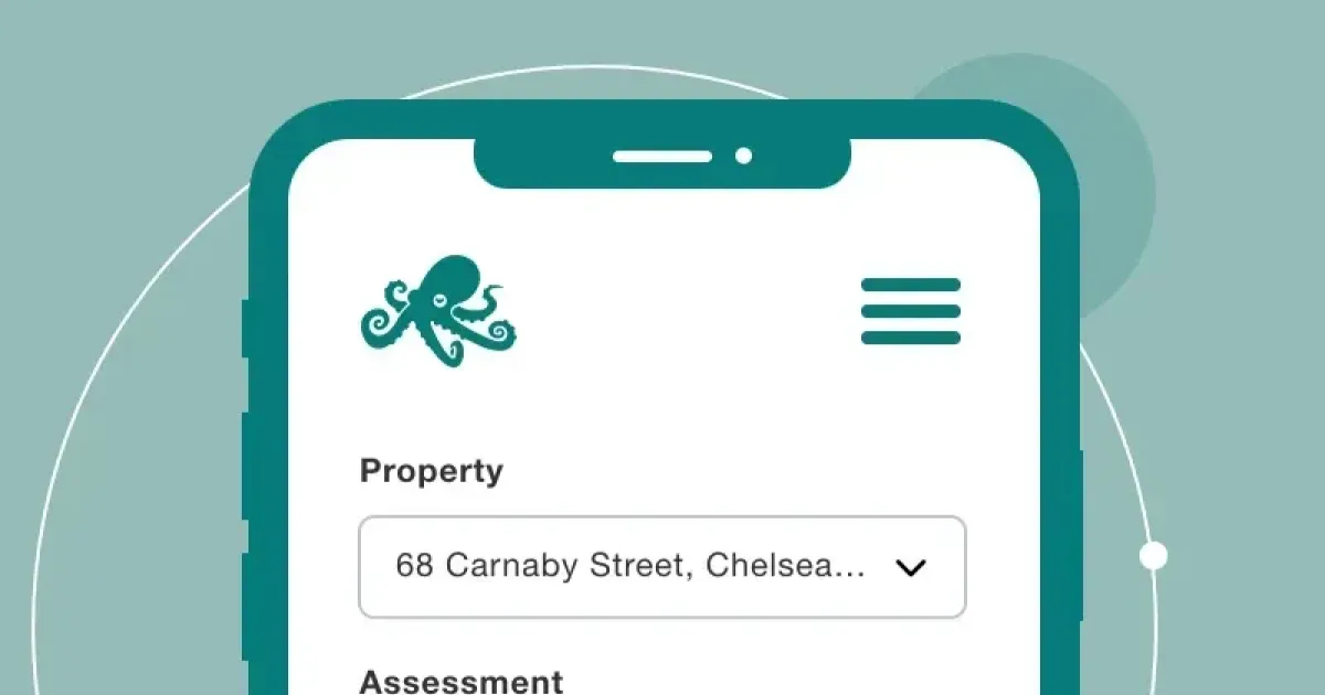 Octopus Riskframwork Risk Assessment | Octopus